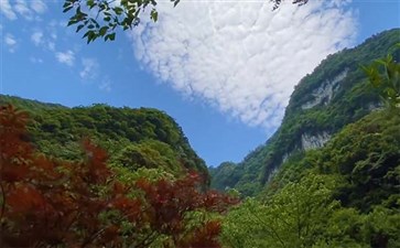 南川神龙峡景区