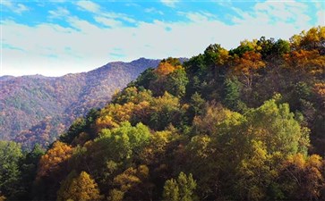 秋季自驾：六盘山秋景