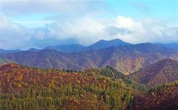 秋季自驾：六盘山秋景