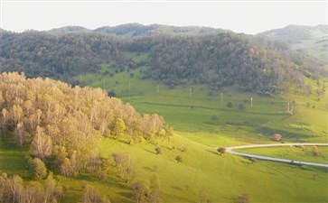 秋季自驾：关山草原秋景