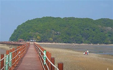 海陵岛自驾：红树林湿地公园