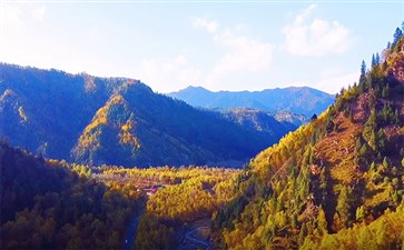 青海互助北山林场秋景