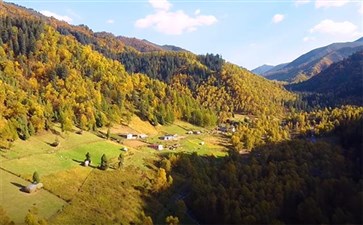 青海互助北山林场秋景