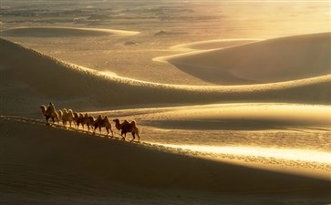 巴丹吉林沙漠骑骆驼