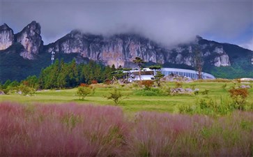 武隆懒坝国际禅境度假区粉黛花开