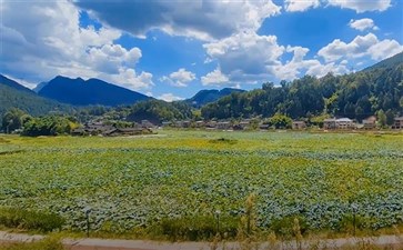 武隆大田·湿地人家