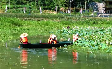 武隆大田·湿地人家划柳叶舟摘荷叶与莲蓬