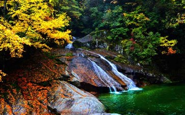 光雾山旅游：米仓山森林公园红叶