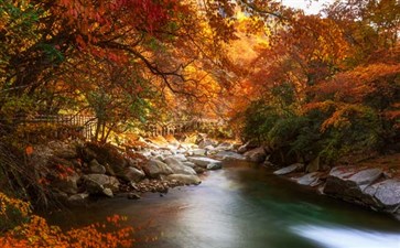 光雾山景区