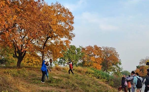 北京西山国家森林公园秋季美景