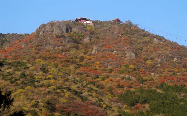 北京香山公园秋季美景