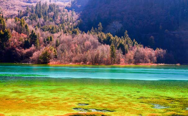 秋季九寨沟旅游：日则沟五花海秋景