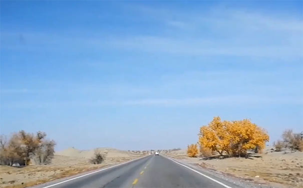 十月新疆旅游推荐：塔里木沙漠公路秋景