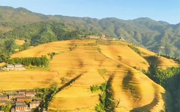 广西秋季旅游推荐：龙脊梯田秋景