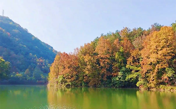 广西秋季旅游推荐：德保红叶森林公园秋景