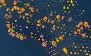 秋季重庆周边自驾游：汉丰湖水上森林秋景