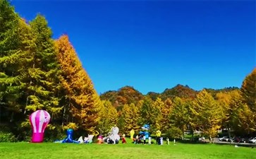 重庆自驾游：鸳鸯池林场秋季景色
