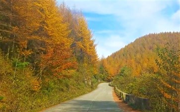 重庆自驾游：小众秘境秋景