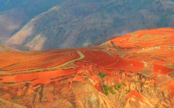 东川红土地秋季景色