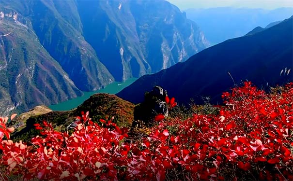 重庆巫山红叶节的红叶美景