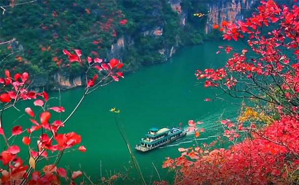 重庆巫山红叶节的红叶美景