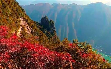 巫山神女天路红叶美景