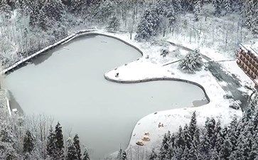 重庆武陵山国家森林公园雪景