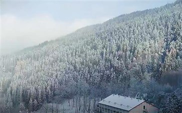重庆武陵山国家森林公园雪景