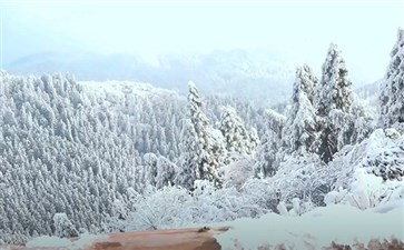 重庆武陵山国家森林公园雪景