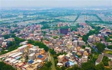 广东旅游：顺德蓬简水乡