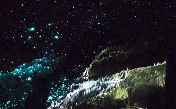 新西兰旅游：怀托摩萤火虫洞