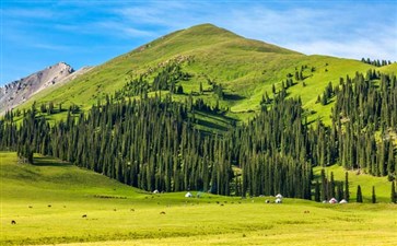 新疆旅游：伊犁那拉提大草原