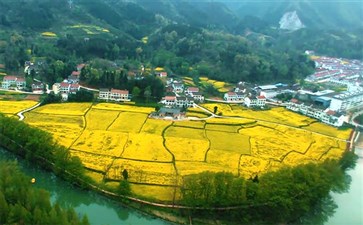 勉县元墩龙湾景区油菜花