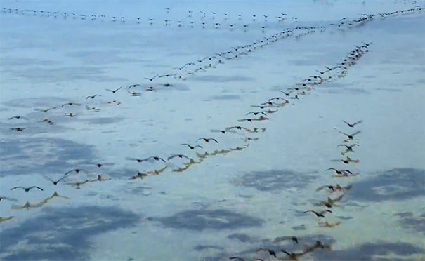 鄱阳湖