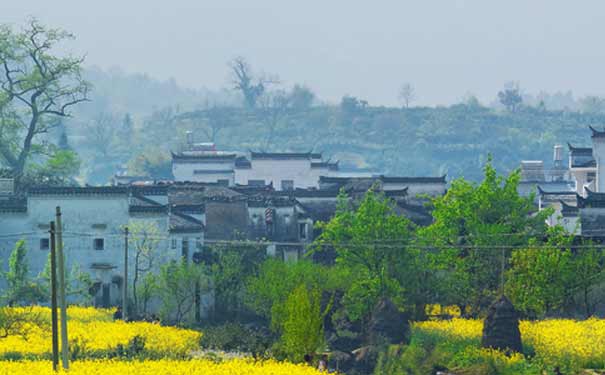 婺源油菜花景区