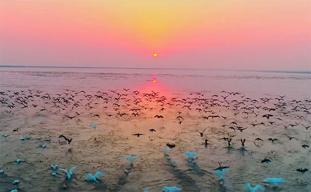 江西旅游：鄱阳湖