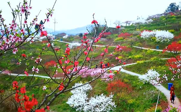 永川圣水湖桃花岛