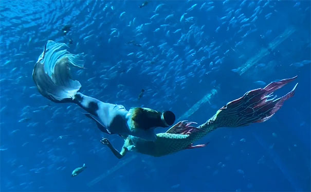 失落的空间室内水族馆