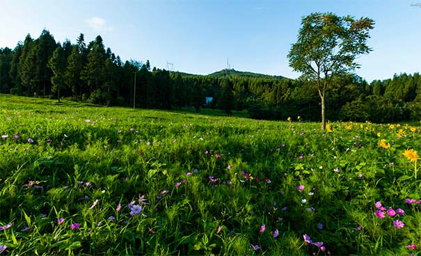 重庆周边游：武陵山旅游