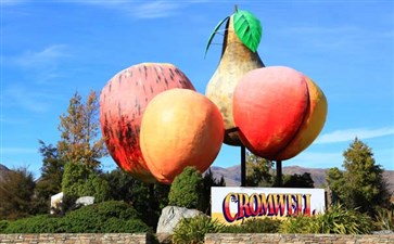 新西兰：克伦威尔水果小镇