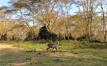 肯尼亚：埃尔门泰塔湖