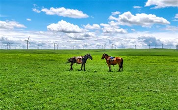 内蒙古：辉腾锡勒草原