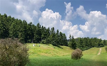 重庆：仙女山