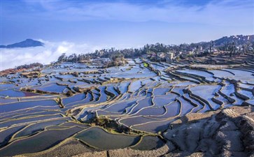 云南元阳梯田爱春梯田（蓝色梯田）