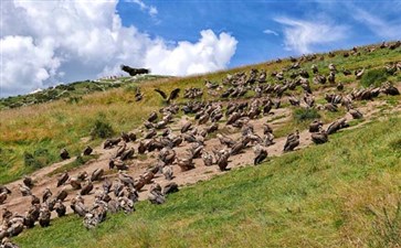 重庆自驾旅游：色达天葬台