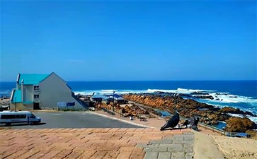 南非旅游：摩梭湾