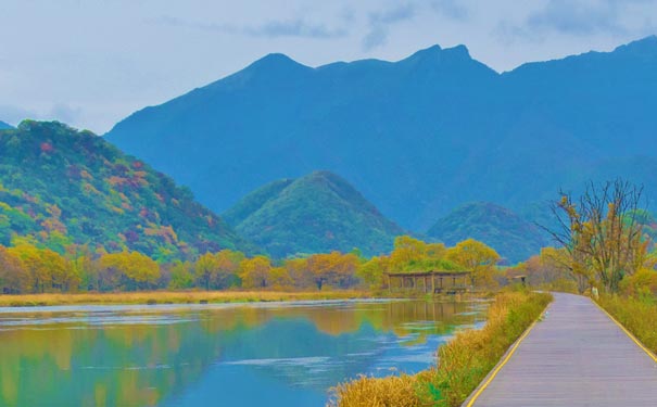 湖北神农架景区——大九湖