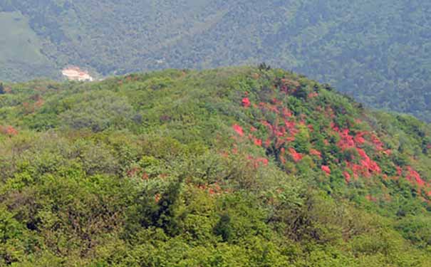 湖南旅游-南岳衡山