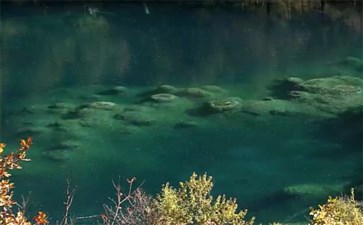 九寨沟景区卧龙海