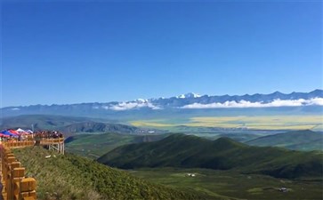 青海旅游：祁连达板山观景台赏门源油菜花